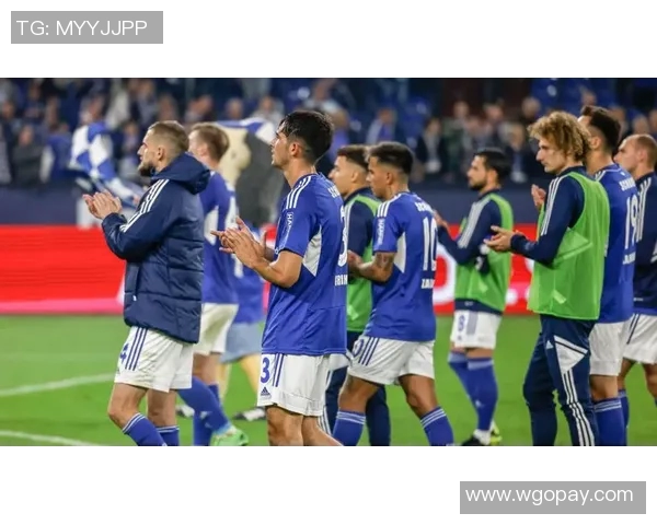 沙尔克04出售核心球员，引援窗口备受关注